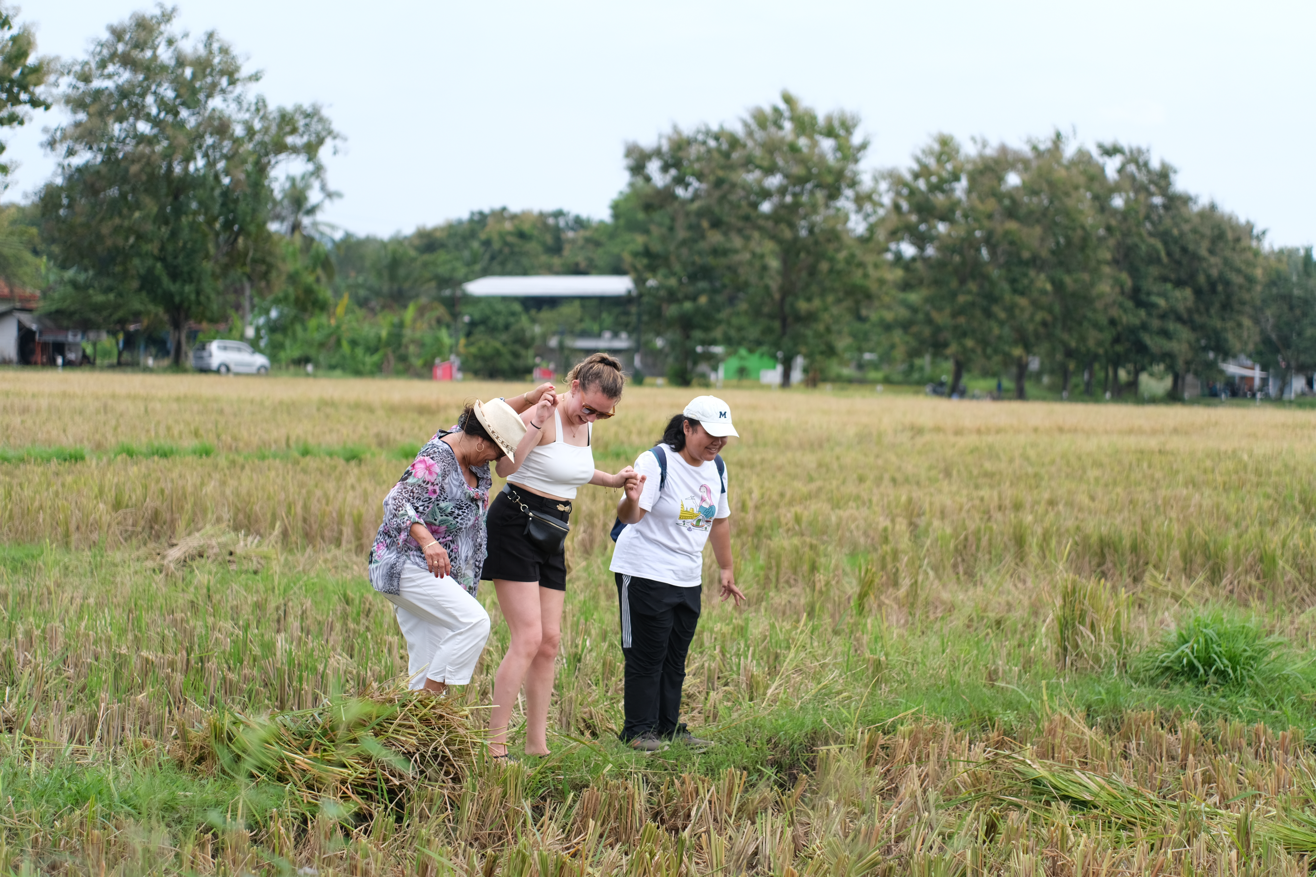 Foto dari Adi Fitrianto