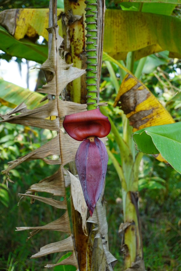 Foto dari Wahyu Saputra