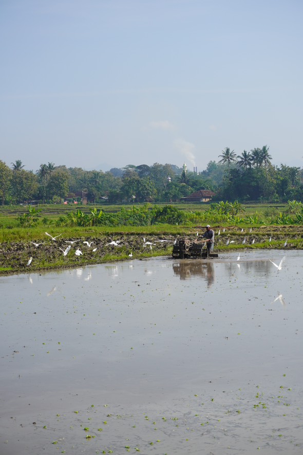 Foto dari Adi Fitrianto