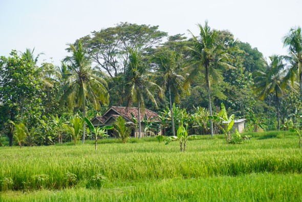 Foto dari Adi Fitrianto