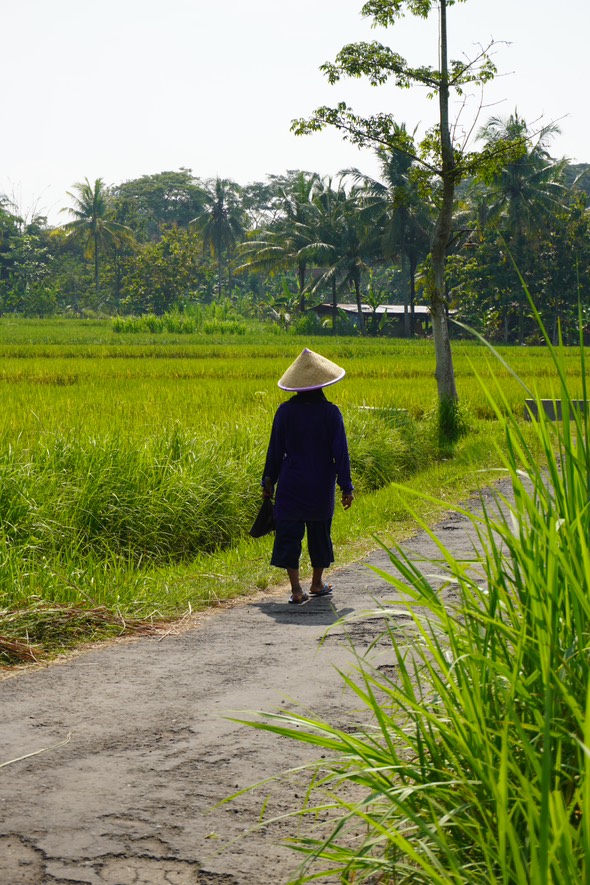 Foto dari Adi Fitrianto