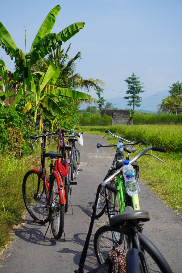 Foto dari Adi Fitrianto